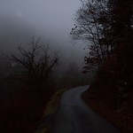 Secret of the Mulberry Tree