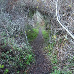 Montana De Oro-Coon Creek Trail Arch-2