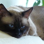 Why isn't mom coming? You said she'd be home at nine pi-em! When is nine pi-em??