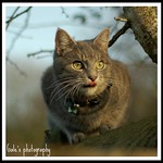 Mmmm........that was nice !!