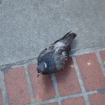 San Francisco 2011-06-24