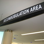 Recombobulation Area