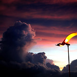 Enter The Darkness ...