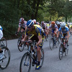 Houston Texas Memorial Memorial Park Picnic Loop Cycling 1 2 3 Crit Criterium Race July 3 2008 Road Racing P7021824