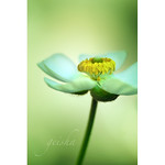 nobody said it was easy...