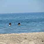 the closest I got to a water shot