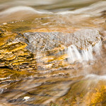 Hurricane River Detail