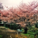 wakei hdr2 old orthon effect