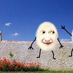 88/365 Happy Hump(ty) Day