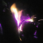 Taking This Photo Hurt My Hand