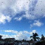 The Freshness After The Rain (2-3-2017)