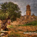 El Olivo de Paz: Corbera d'Ebre