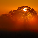 Some of the most precious moments last in a blink of an eye, but the sweet afterglow of its memories stay forever...