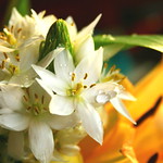 Amor para todos ;-))<3