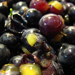 Grape Innards