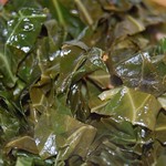 Collards