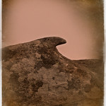 Stone Whale.