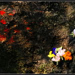Colors of Devotion [..Sonargaon, Bangladesh..]