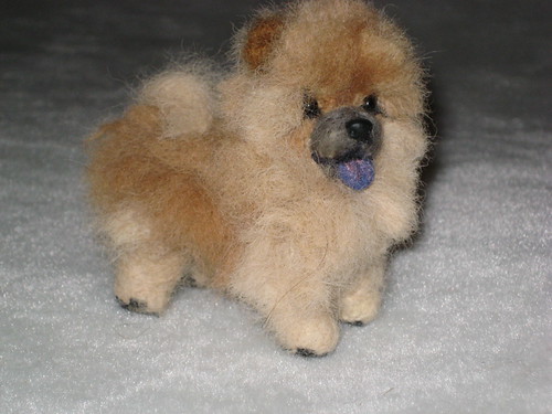 Displaying (13) Gallery Images For Mini Chow Chow