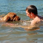 Boy and His Dog Swimming, 2005