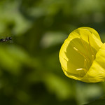 Houston, Landing Zone In Sight!