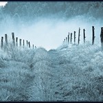 bei Dieringhausen - blue morning