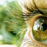 i see trees of green,...