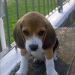 Don't Look At Me With Those Eyes...(Explored)