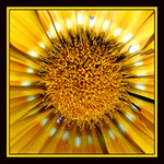 Sunny Wednesday....:))