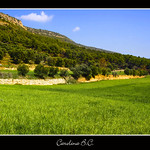 T&acute;he dit que no t&acute;allunyessis !!! // &iexcl;Te he dicho que no te alejaras!!!!