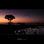 Into the deep purple haze with the fog lights turned off.