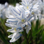 Happy Easter! / Wesołych Świąt Wielkanocnych! / Frohe Ostern!