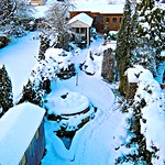 Back garden, winter 2009