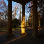 Golden light and long shadows