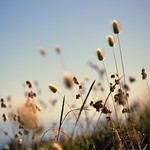 ~ Moments In The Sun ~