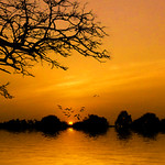 LOVE REMAINS FOREVER