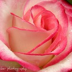 The greatest good we can do for others....