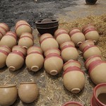 Kalabougou - canaries - great for keeping water cool!