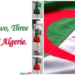 One, Two, Three...Viva l'Algerie!