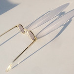 mosca miope - fly myopic