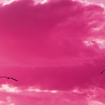 Hoping everything's not lost..