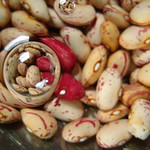 cranberry beans