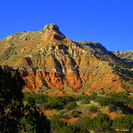 Tejas Palo Duro