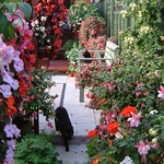 "Is lunch being served?"