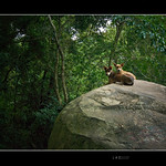 Baby ... It's cold outside !!!