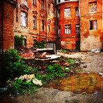 What remains after rain...