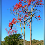 Photo Convite para o Concurso!