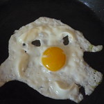 Mr FRIEDEGG