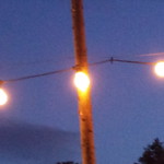 Lights Camera Action