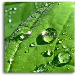 Not All That Glitters is Gold